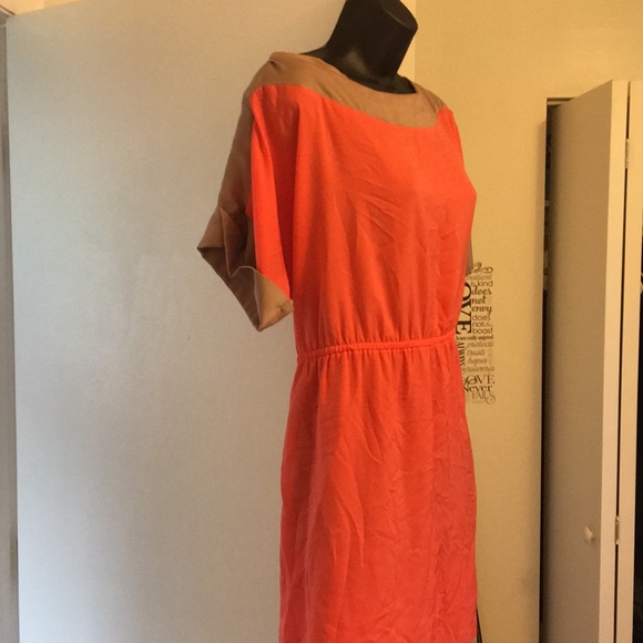 Dress - Picture 3 of 3